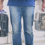 Jaula para perros: cuándo transportar a tu peludo en ella