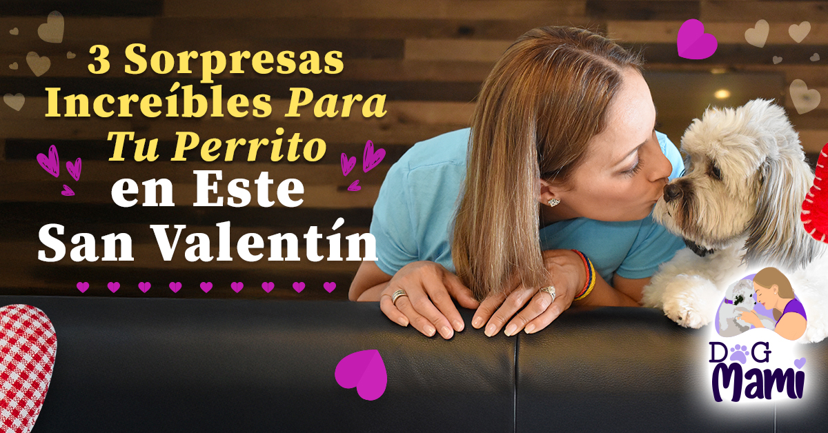DM_San_Valentin
