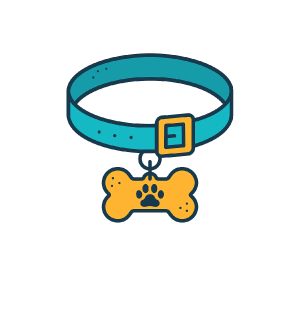 Accesorios para perros