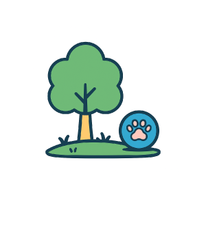 Iconos-web_15