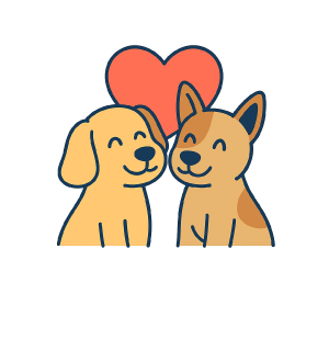 Socialización canina